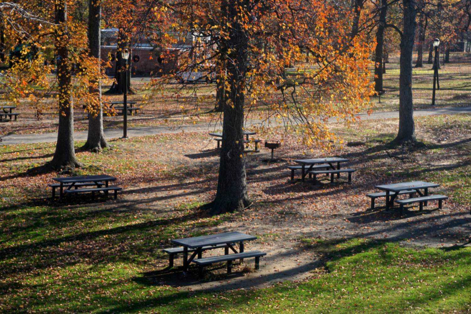 Pelham Bay Bronx Park in Autumn
