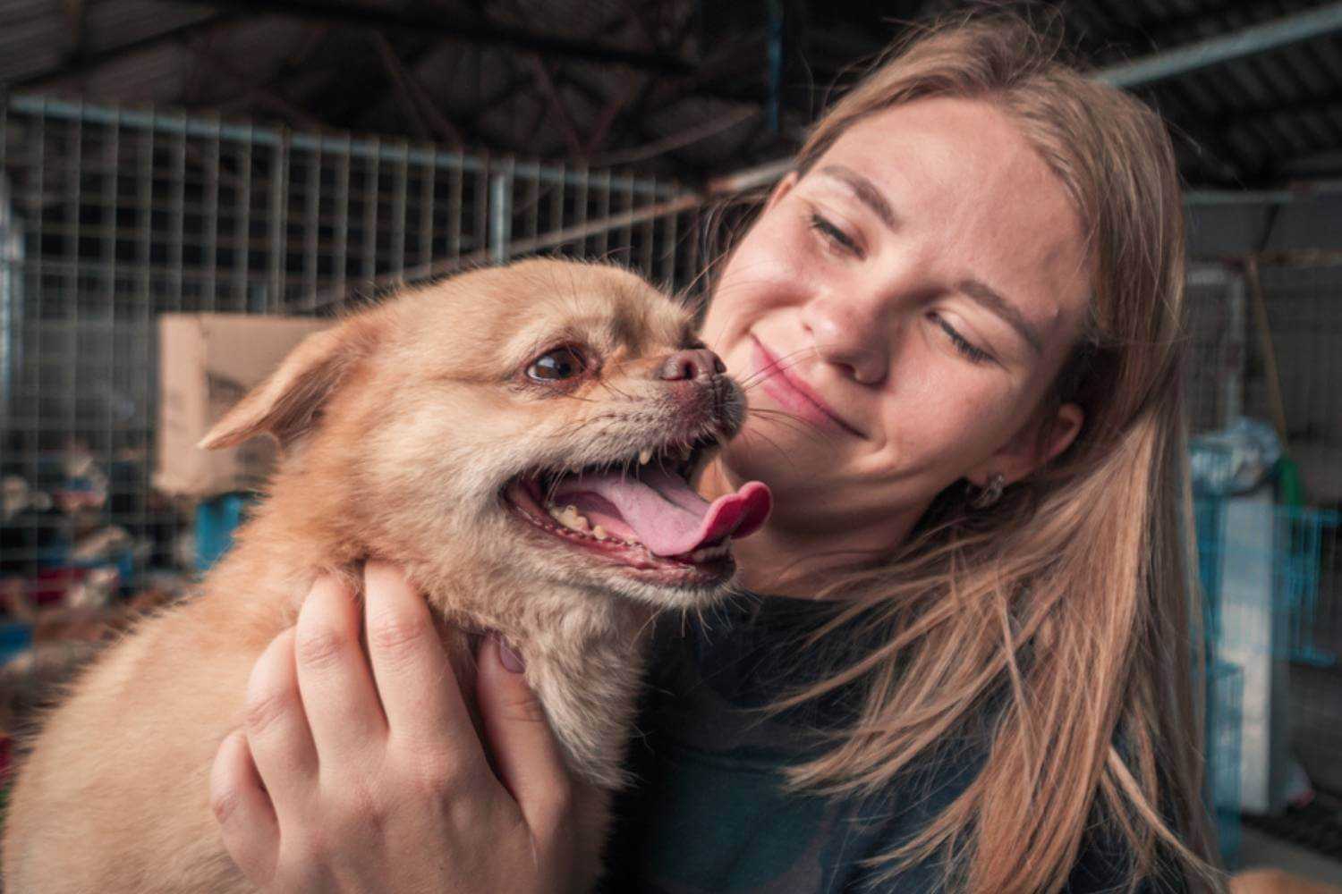 Brooklyn Woman Adopting a Dog