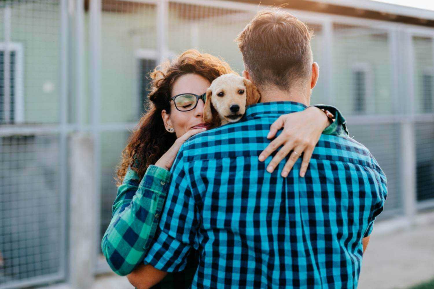 Charlotte Couple Adopting a Puppy
