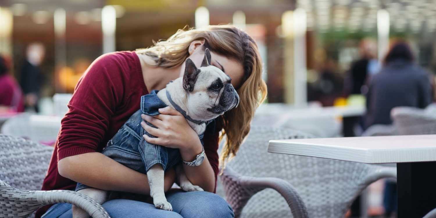 The absolute best pet-friendly Restaurants, Bars, and Breweries in Des Moines, IA brought to you by Local Pet Care!