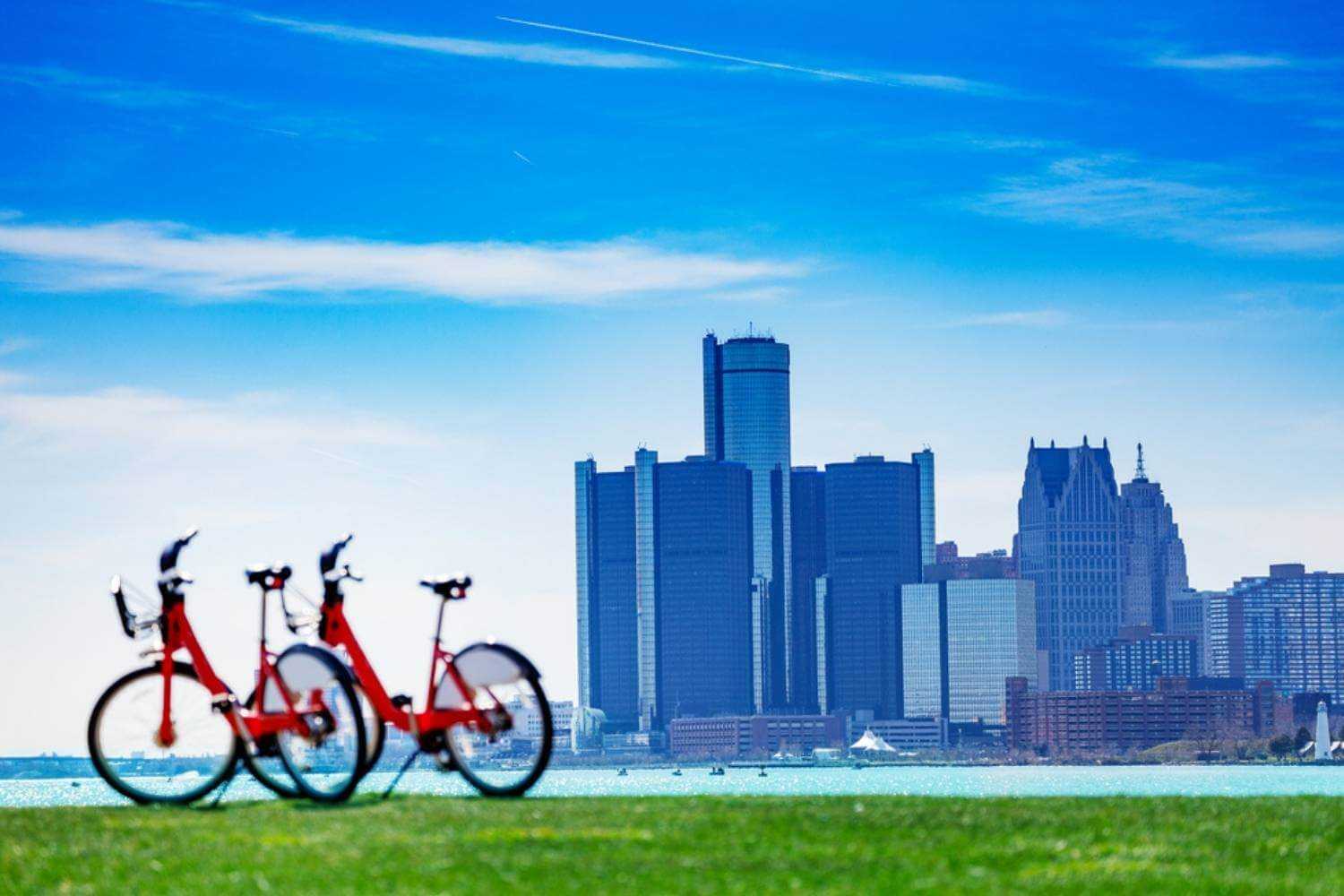 Detroit Dog Park City Skyline with Bikes