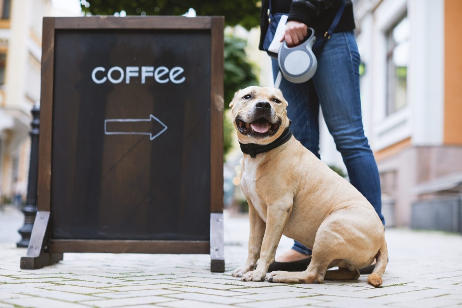 dog-friendly coffee