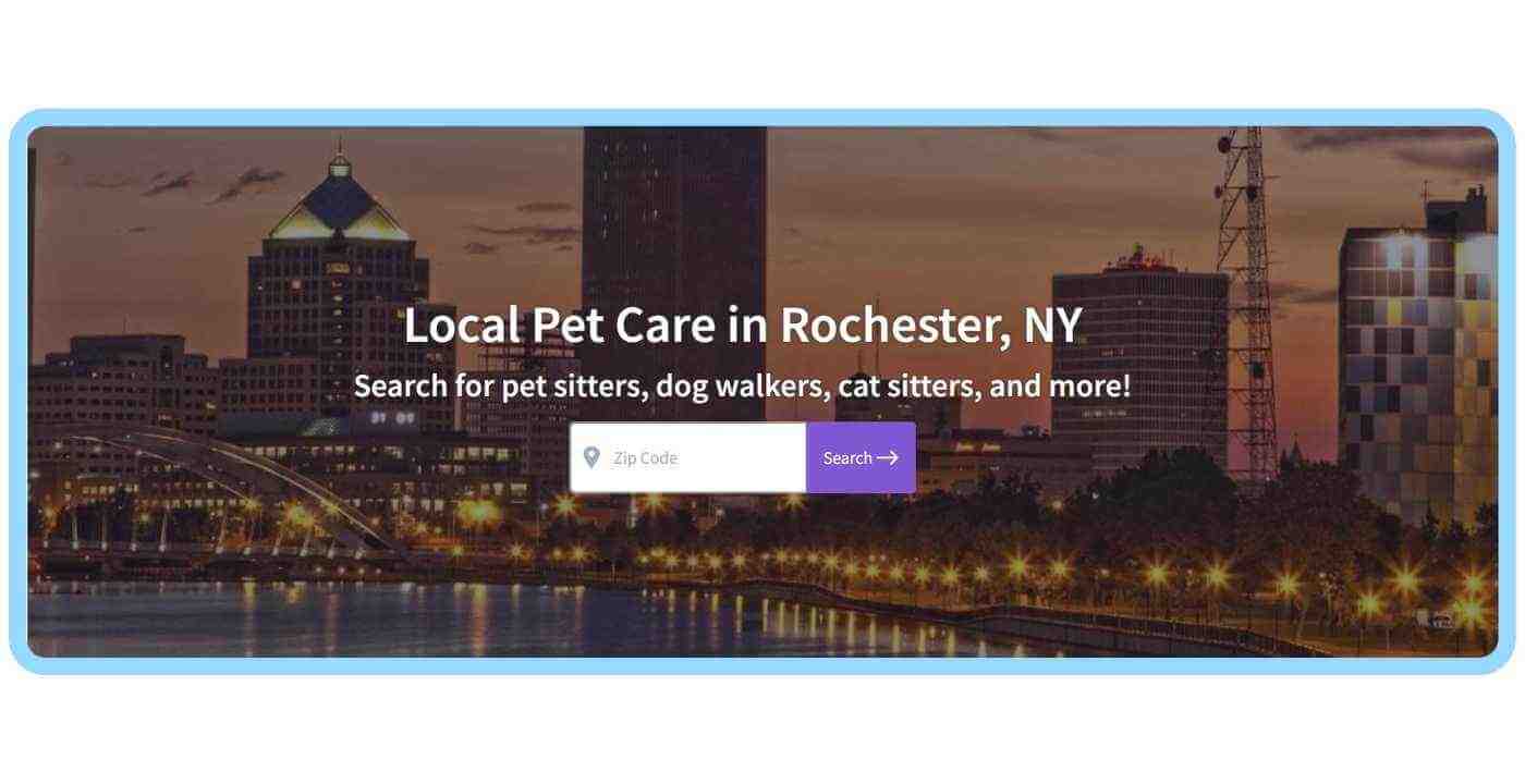 Find Local Pet Care CTA Search Rochester NY
