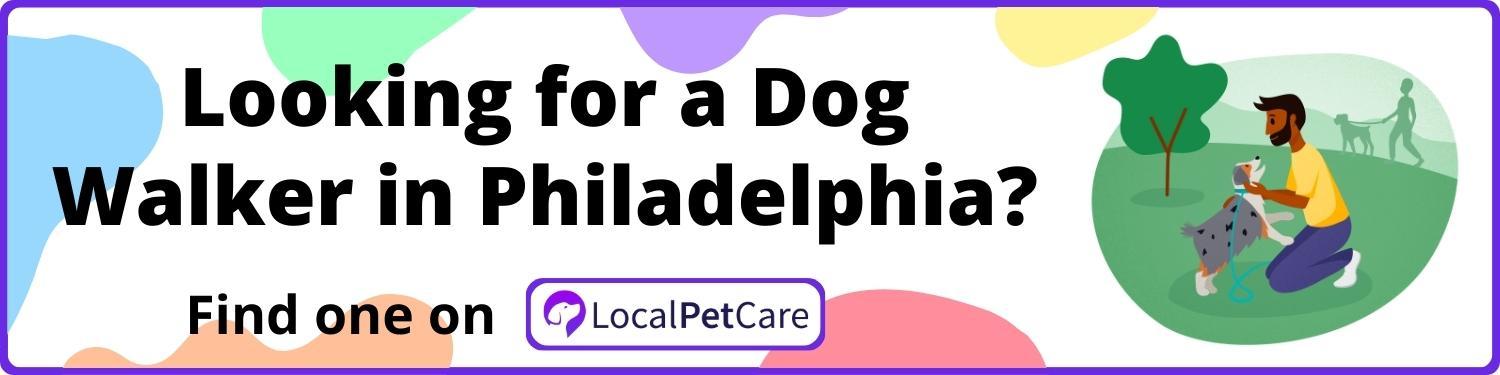 Looking For A Dog Walker in Philadelphia