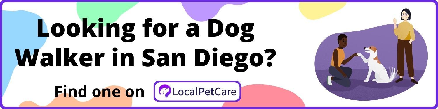 Looking For A Dog Walker in San Diego