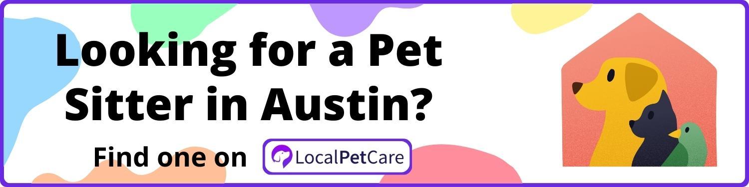 Looking For A Pet Sitter in Austin