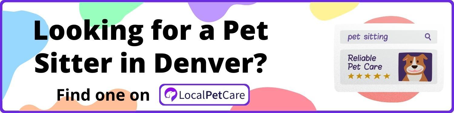 Looking For A Pet Sitter in Denver