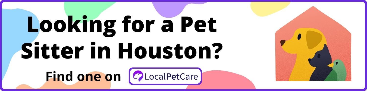 Looking For A Pet Sitter in Houston
