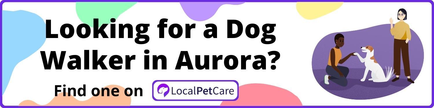 Looking for a Dog Walker in Aurora