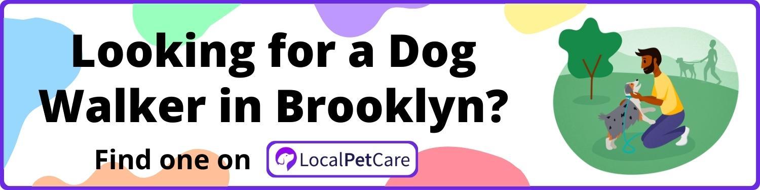 Looking for a Dog Walker in Brooklyn