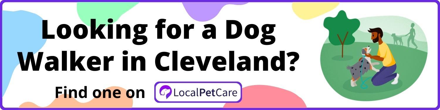 Looking for a Dog Walker in Cleveland