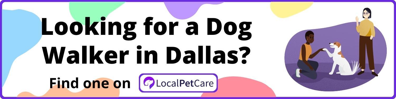 Looking for a Dog Walker in Dallas