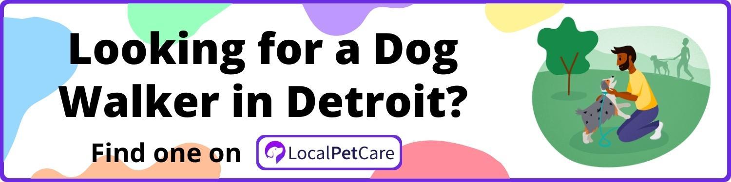 Looking for a Dog Walker in Detroit