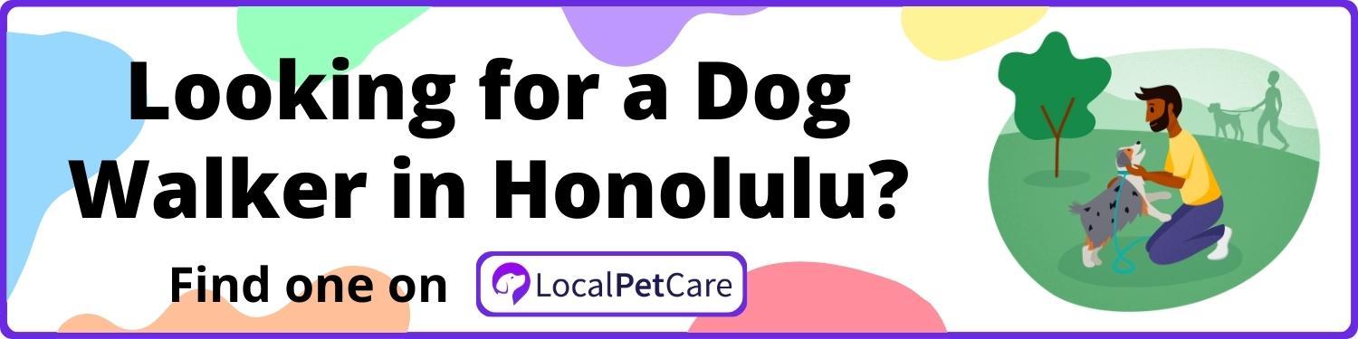 Looking for a Dog Walker in Honolulu