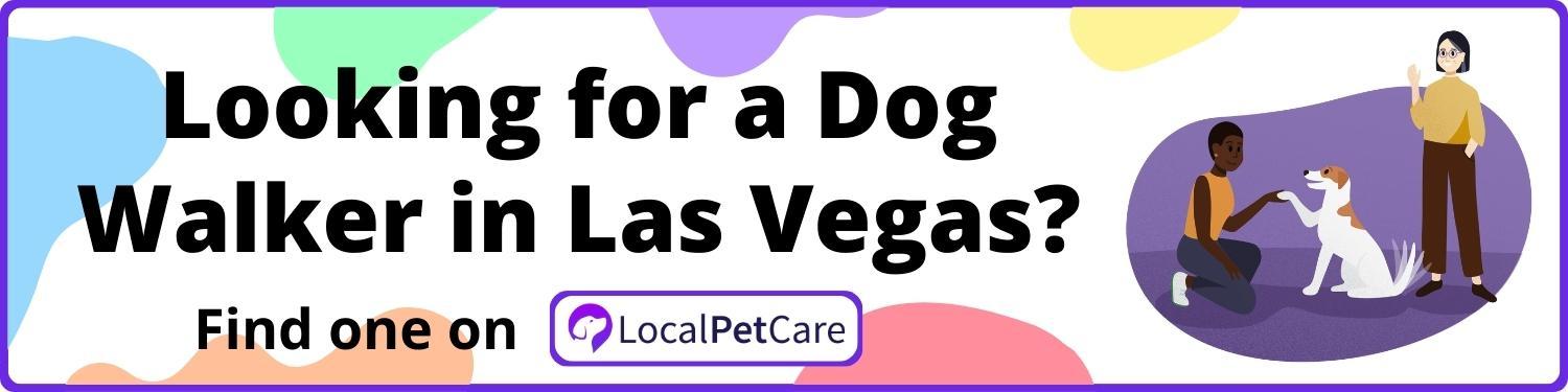 Looking for a Dog Walker in Las Vegas