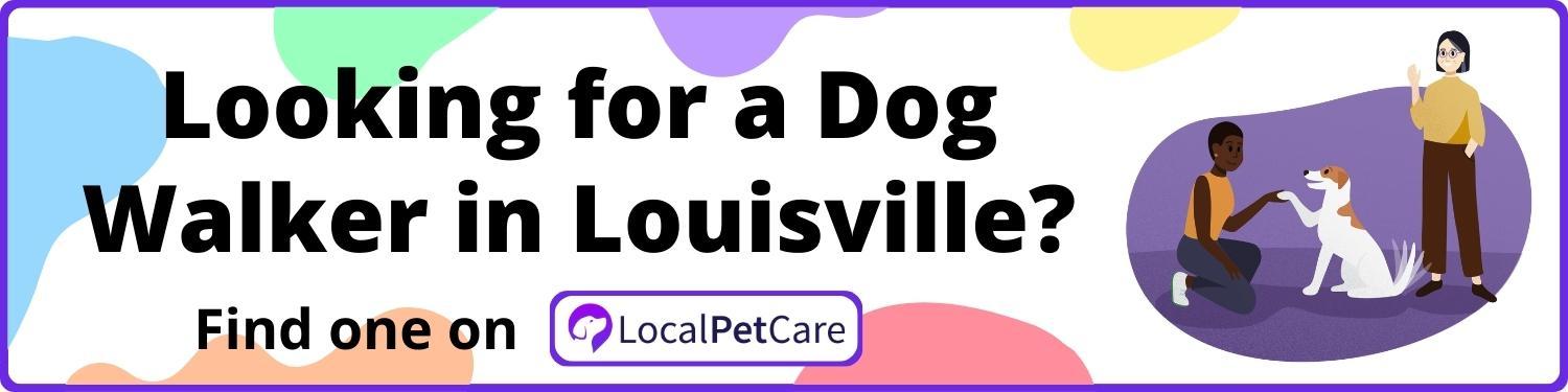 Looking for a Dog Walker in Louisville
