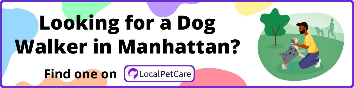 Looking for a Dog Walker in Manhattan