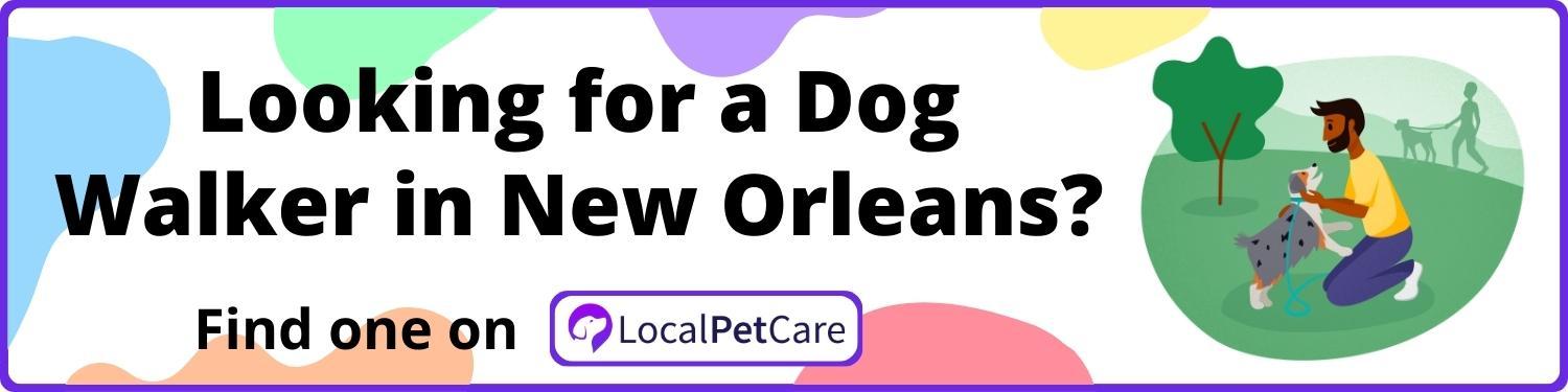 Looking for a Dog Walker in New Orleans