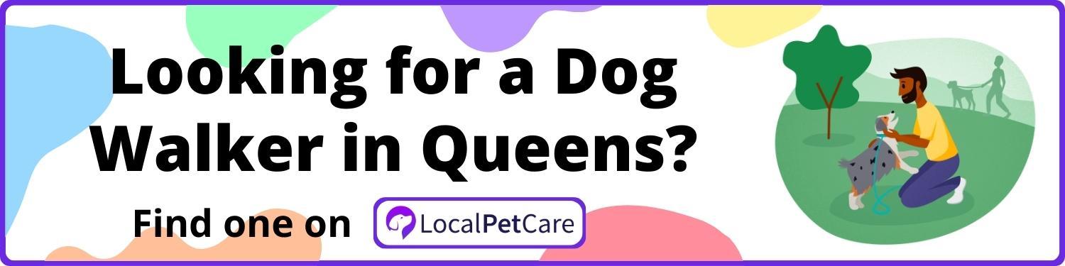 Looking for a Dog Walker in Queens