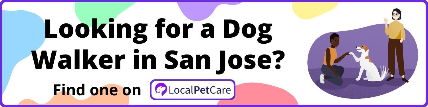 Looking for a Dog Walker in San Jose
