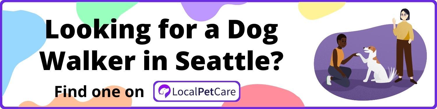 Looking for a Dog Walker in Seattle