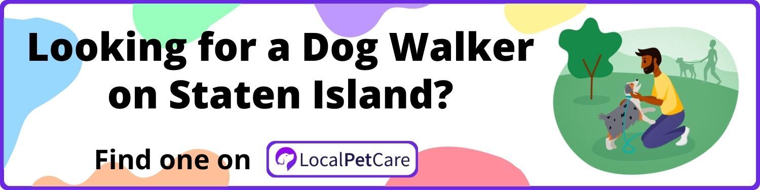Looking for a Dog Walker in Staten Island
