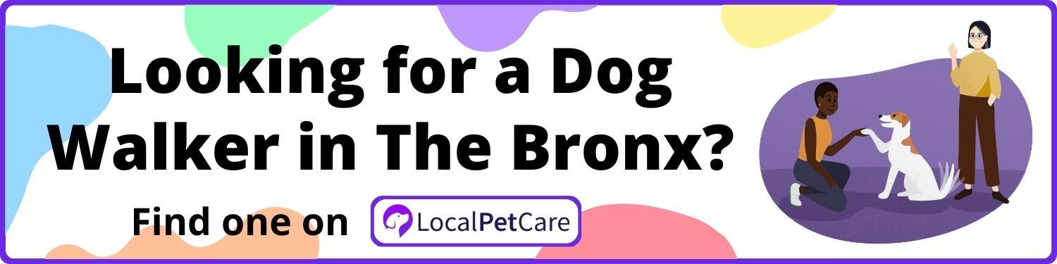 Looking for a Dog Walker in The Bronx