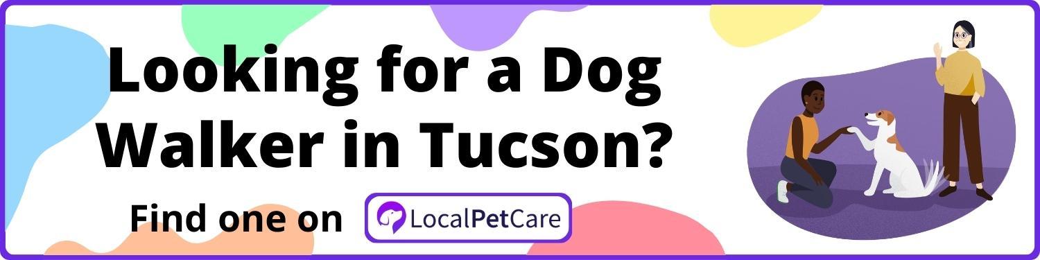 Looking for a Dog Walker in Tucson