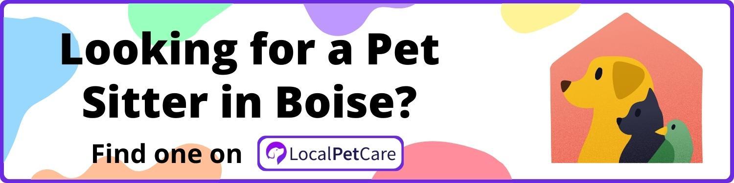 Looking for a Pet Sitter in Boise