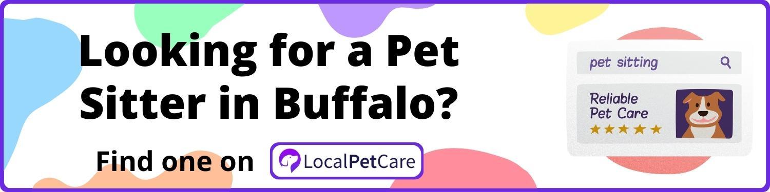 Looking for a Pet Sitter in Buffalo