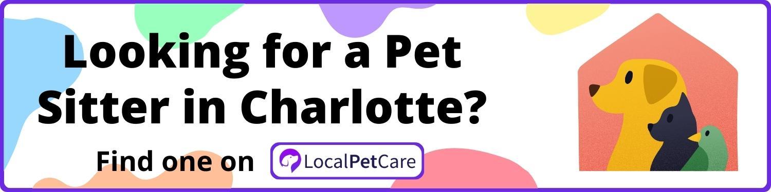 Looking for a Pet Sitter in Charlotte