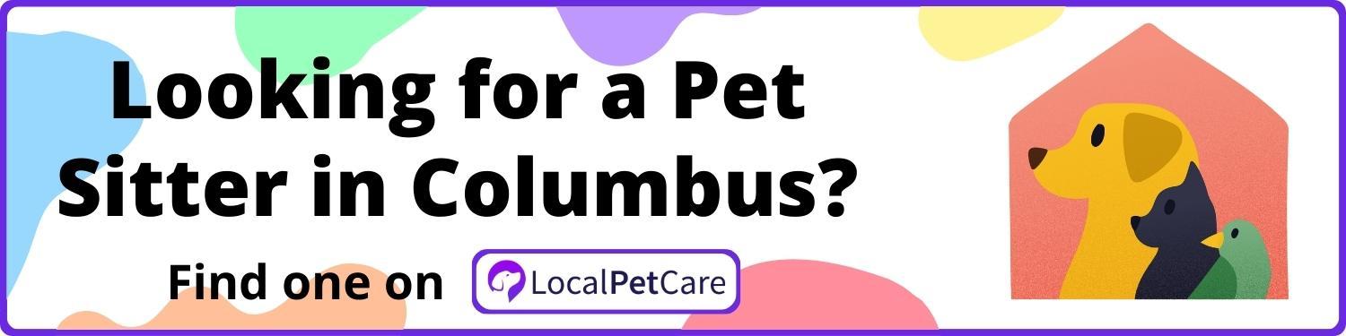 Looking for a Pet Sitter in Columbus