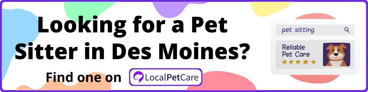 Looking for a Pet Sitter in Des Moines