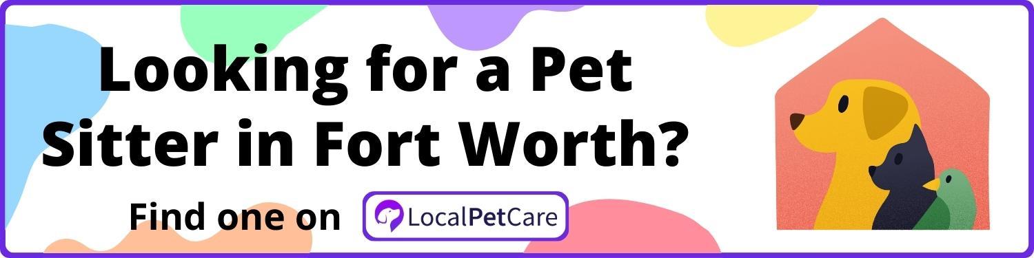 Looking for a Pet Sitter in Fort Worth