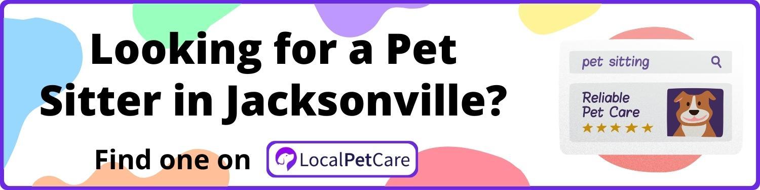 Looking for a Pet Sitter in Jacksonville