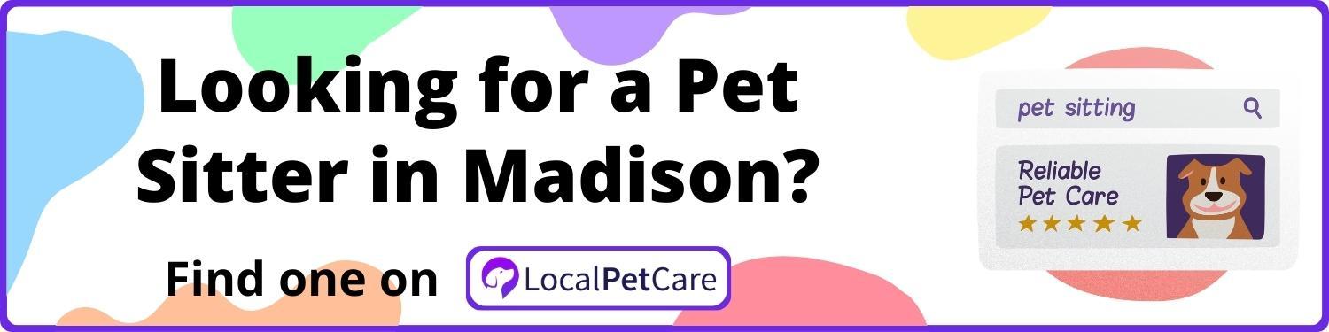 Looking for a Pet Sitter in Madison