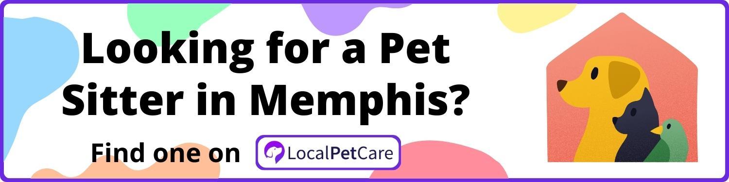 Looking for a Pet Sitter in Memphis