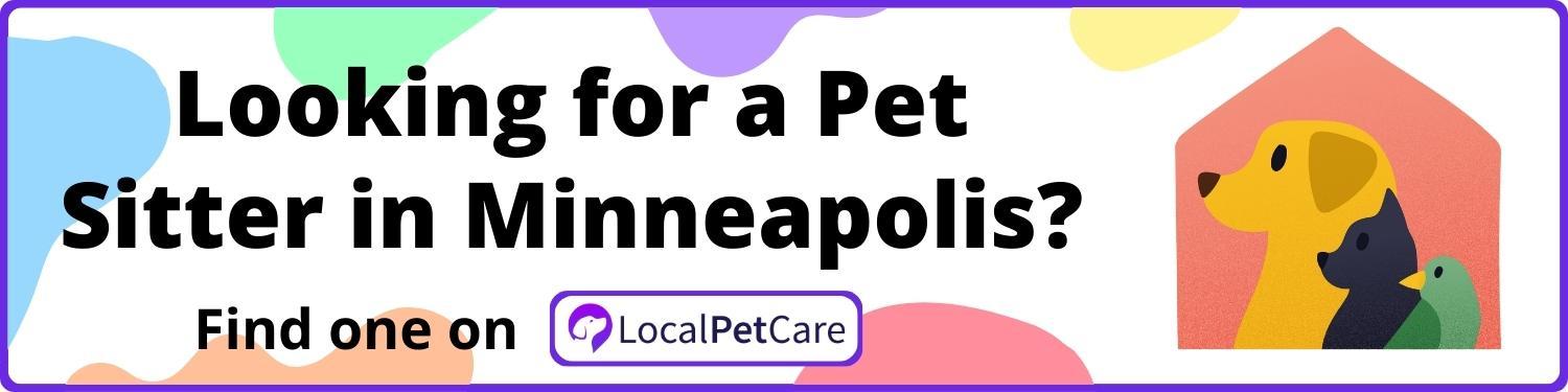 Looking for a Pet Sitter in Minneapolis