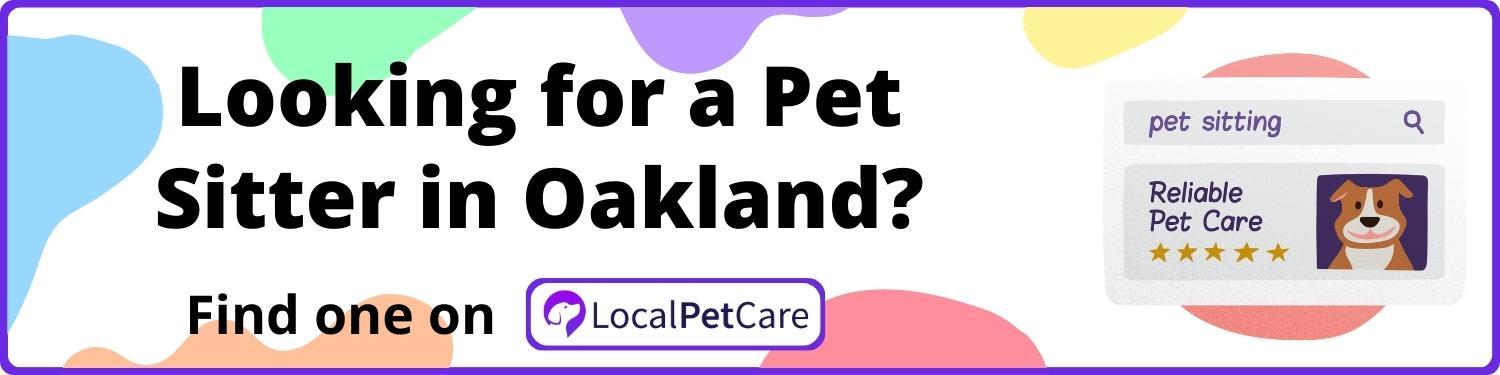 Looking for a Pet Sitter in Oakland