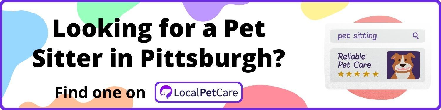 Looking for a Pet Sitter in Pittsburgh