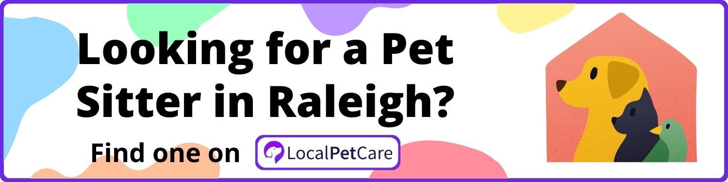 Looking for a Pet Sitter in Raleigh
