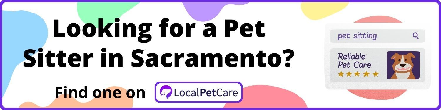 Looking for a Pet Sitter in Sacramento