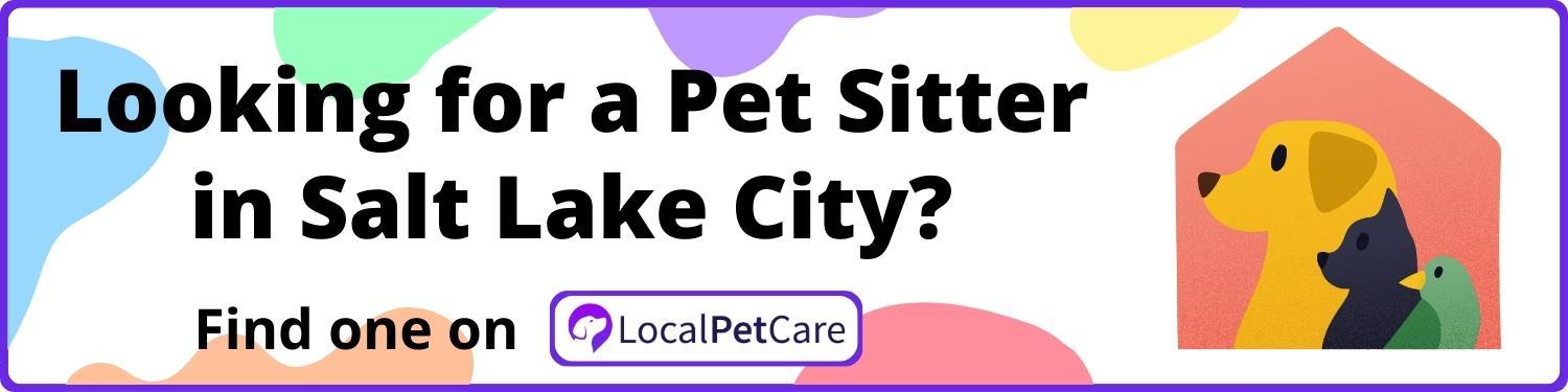 Looking for a Pet Sitter in Salt Lake City
