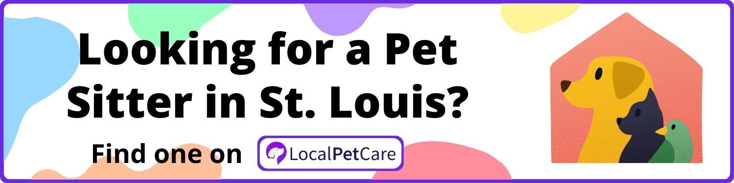 Looking for a Pet Sitter in St. Louis