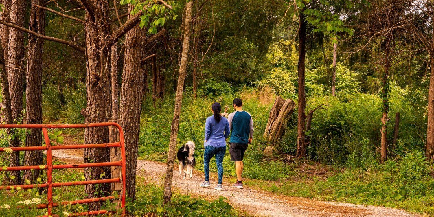 Enjoy some outdoor time with your pup at any one of these 13 awesome dog parks or off-leash areas in Raleigh. Check out our list and get ready to run wild!