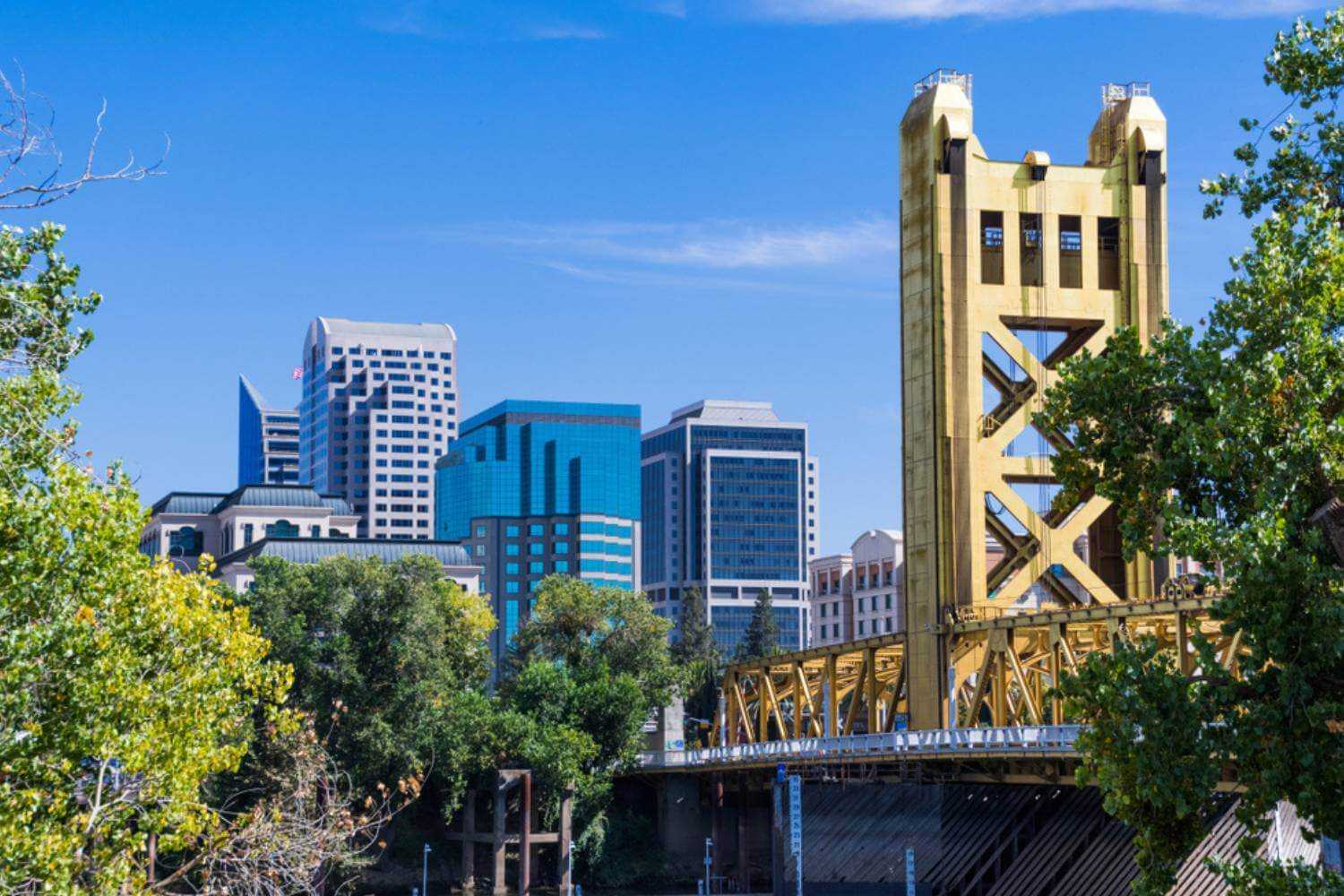 Sacramento Skyline in Summer With Bridge and Trees
