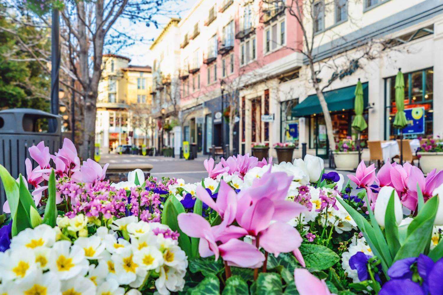 San Jose Street with Flowers