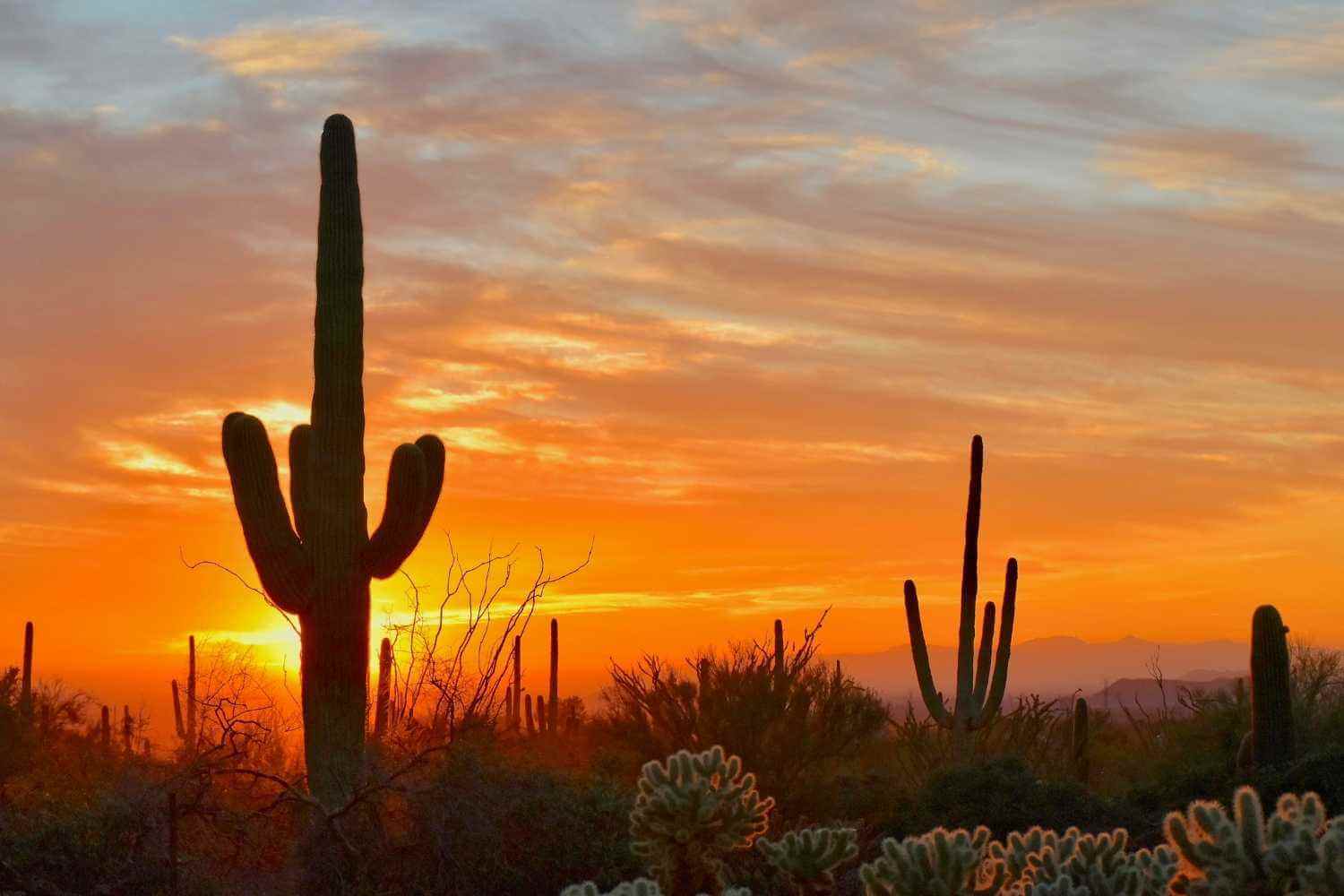 Scottsdale AZ Sunset