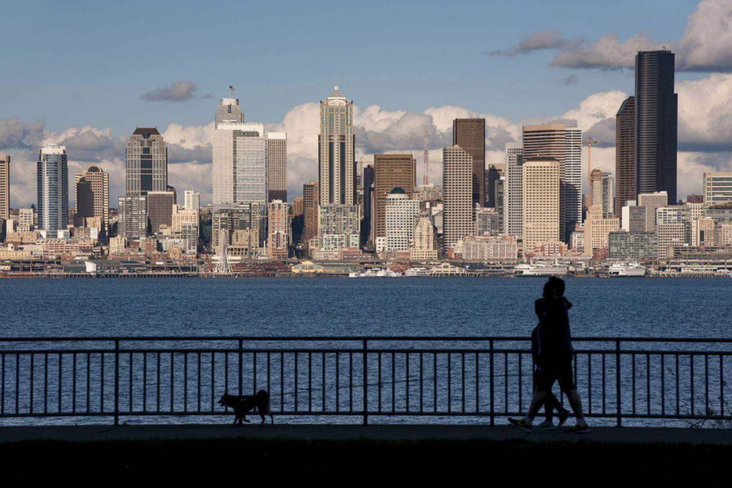Seattle Skyline with Dog Walkers