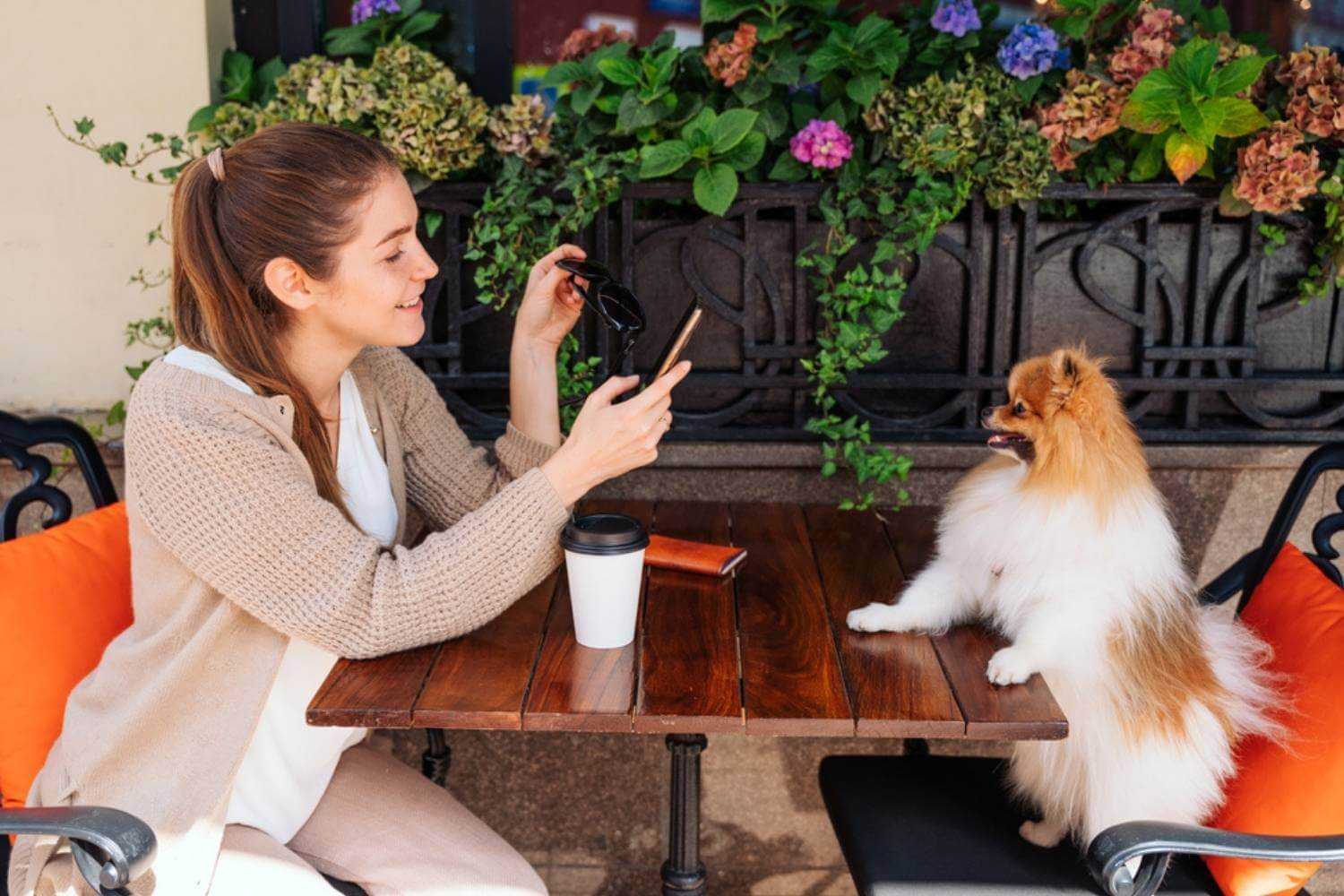 Tallahassee Dog and Woman at Table